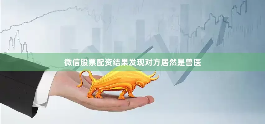 微信股票配资结果发现对方居然是兽医