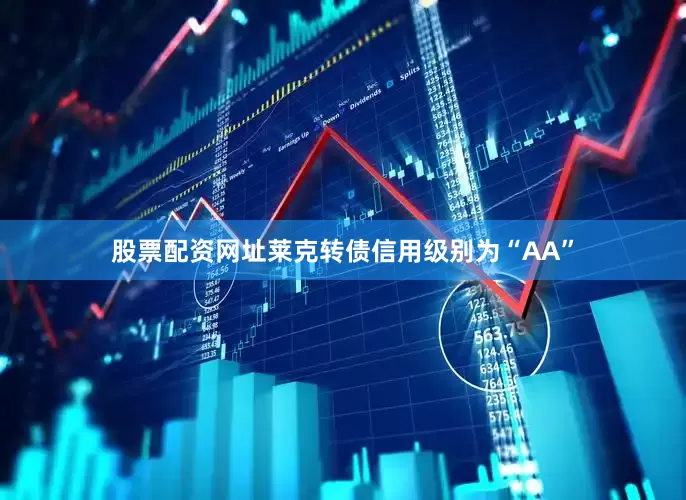 股票配资网址莱克转债信用级别为“AA”