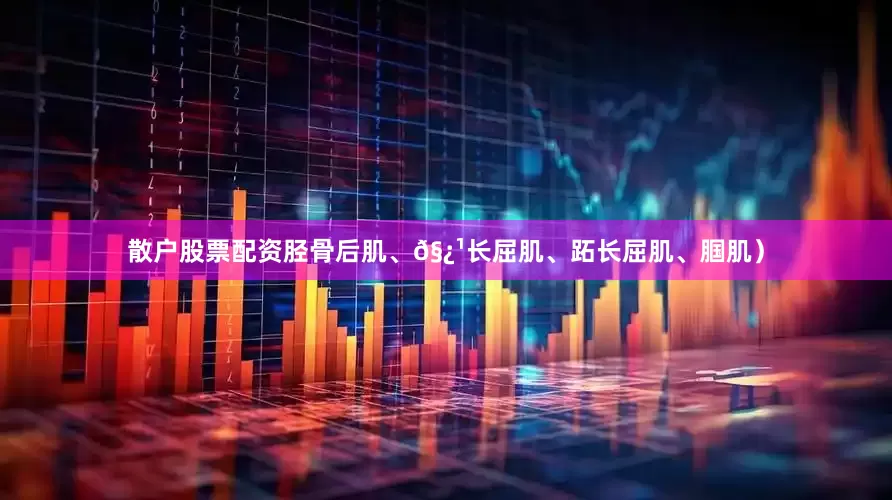 散户股票配资胫骨后肌、𧿹长屈肌、跖长屈肌、腘肌）