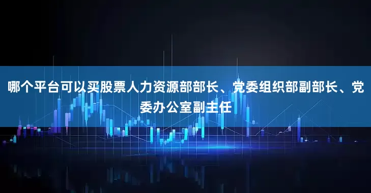 哪个平台可以买股票人力资源部部长、党委组织部副部长、党委办公室副主任